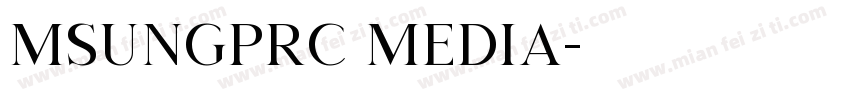msungprc media字体转换